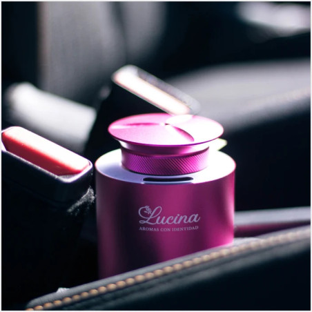 NILES ( uso vehicular)